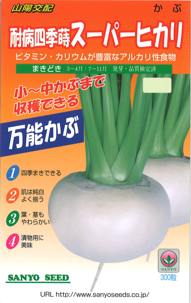 kouhai hikarikabu