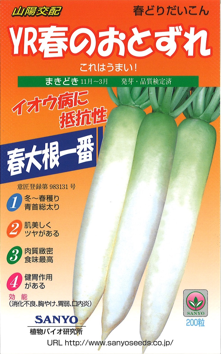 kouhai YRharu