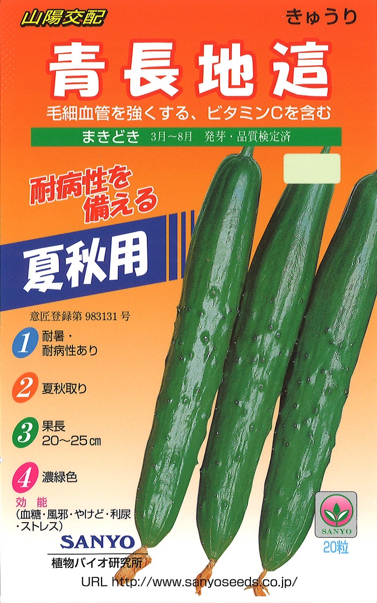 kouhai aonaga
