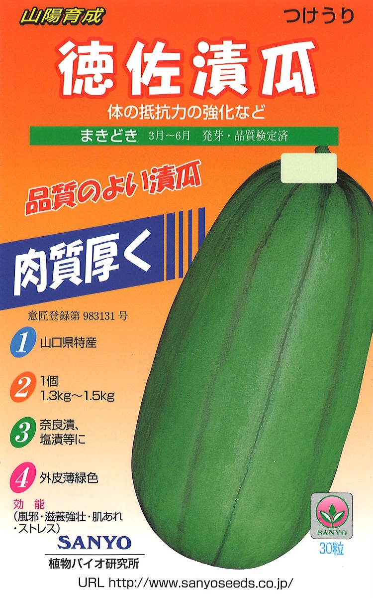 kouhai tokusauri
