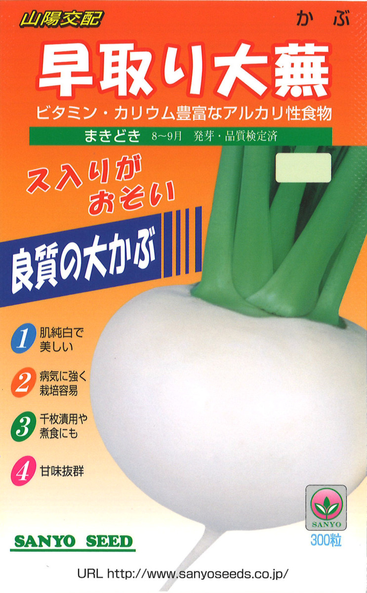 kouhai ookabu